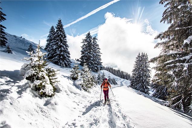 Itinéraire Pas de Morgins - L.Meyer - Châtel