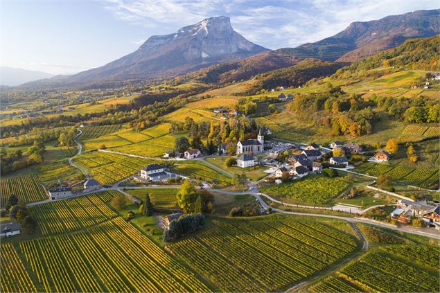 La falaise du Mont Granier depuis la vallée - CIVS