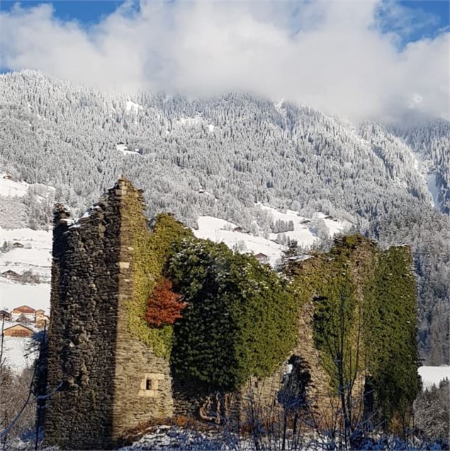 Château de la Grande salle_Beaufort - Bruyere_Freddy