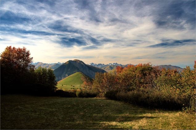 Forêt du Rival en automne - OT Albiez