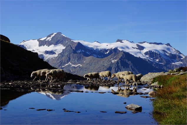 Paysages majestueux du sentier balcon du Carro, Bonneval sur arc - Office de tourisme de Haute Mauri