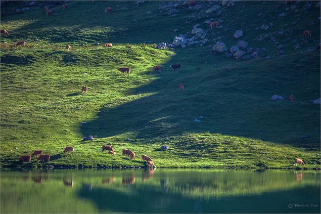 Refuge Entre le Lac - Evasion au bord du lac de la Plagne - Rando 2 jours - Patrick Dion