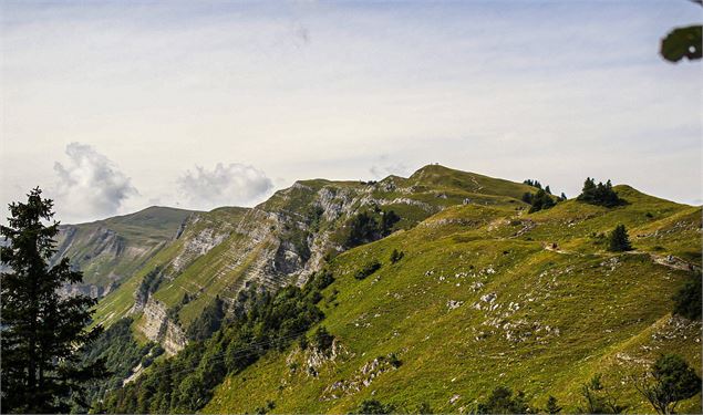 Le Grand Montrond - ©NicodèmePeillon