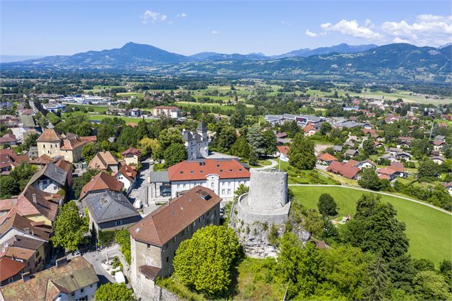 Vue depuis le sommet de la Tour des comtes de Genève - Gilles Bertrand