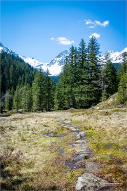 Sololieu - Les Contamines Tourisme