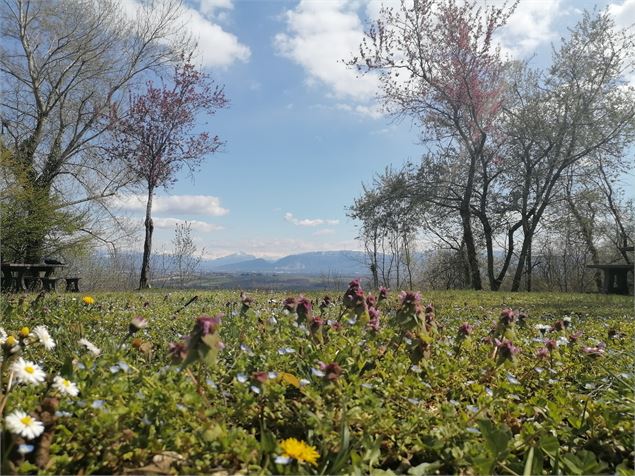 Panorama depuis En Molie - OTI