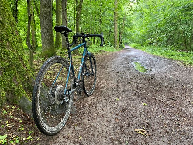 Balade à vélo au Parc de Cibeins - Romain CAVALLERO