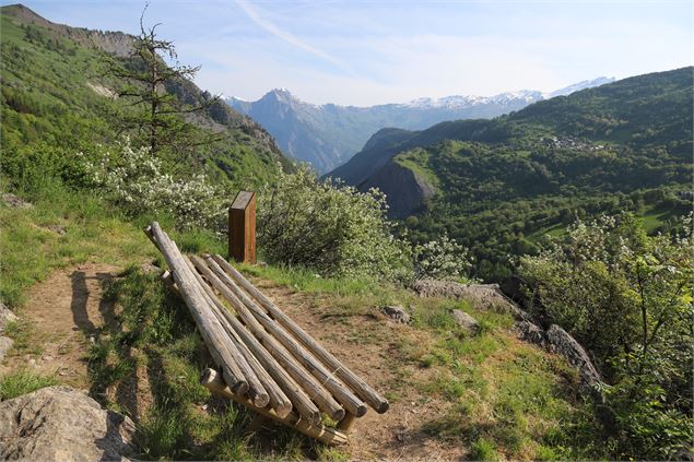 Le sentier écosylve de Valloire - Pascal Delannoy - Valloire Tourisme