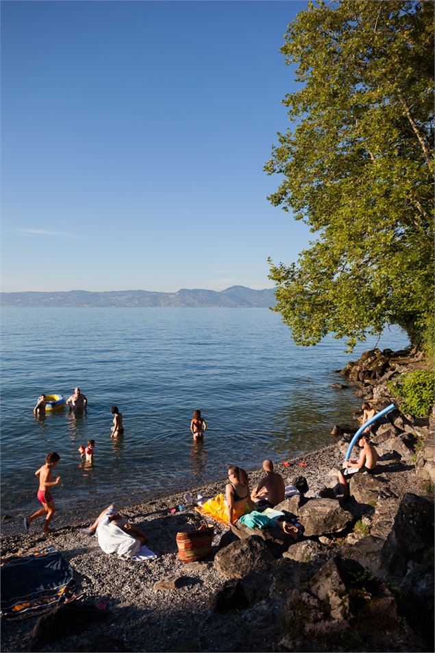 Plage de Vindry_Lugrin - CCPEVA