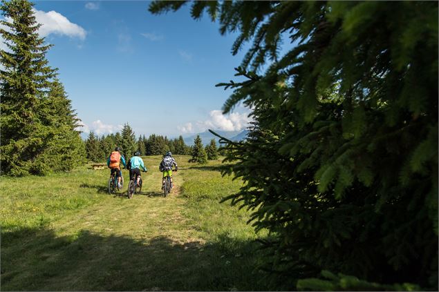 piste vtt de descente La Familiale à Valloire - Alban Pernet / Valloire Tourisme