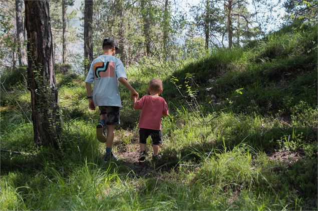 Marcheurs sur le sentier forestier de La Norma - g.monin_ot_hmv