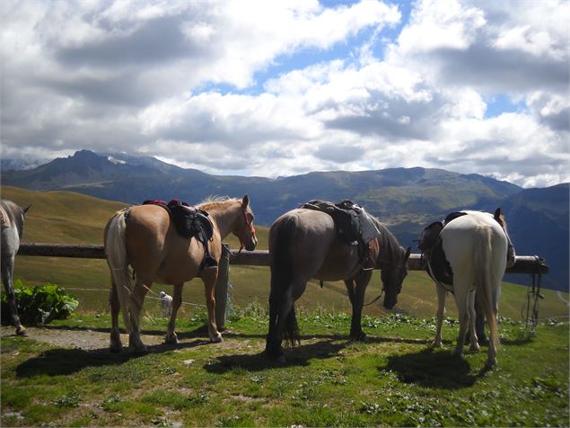 Centre équestre Le Ranch - Maud
