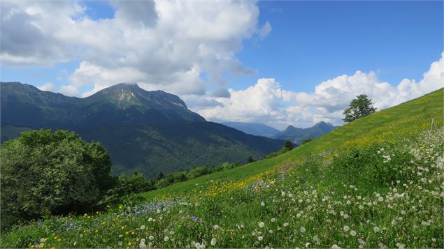 Trail KV de l'Epion - APA St Pierre d'Albigny