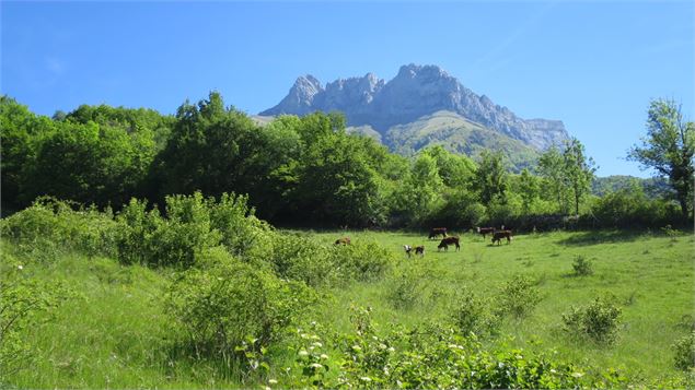 Sous l'Arclusaz - APA St Pierre d'Albigny