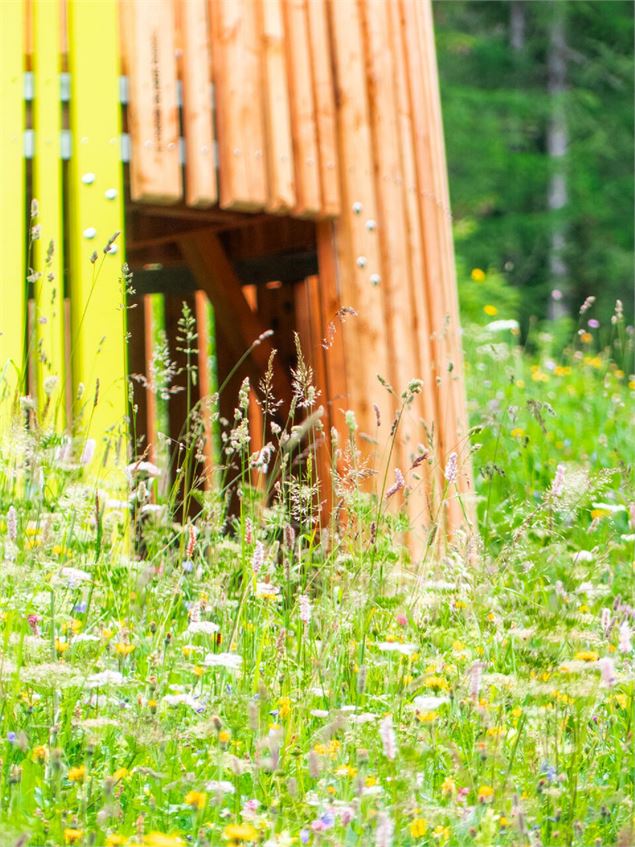 La cabane en prairie du chemin du petit bonheur - Lanslevillard - HMVT - R Salles