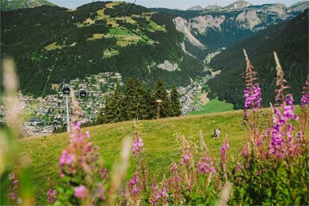 Balade aux Chavannes - Balade aux Chavannes