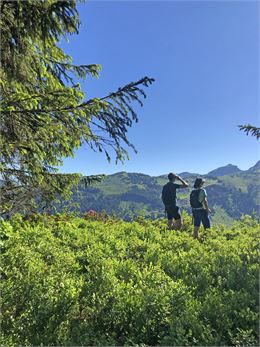 Crêtes de Super Morzine et Belvédère du Lac - Crêtes de Super Morzine et Belvédère du Lac