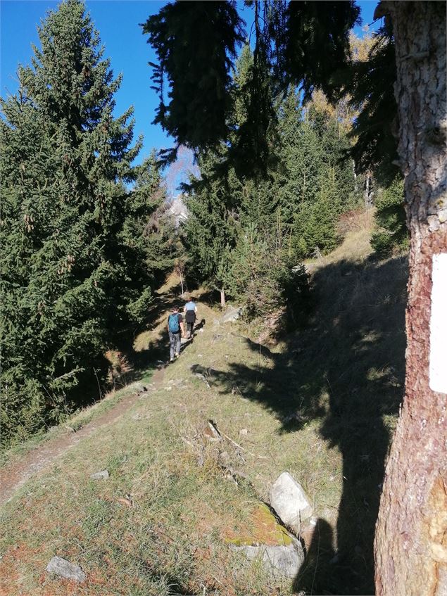 Canaux et biefs - La Plagne Vallée