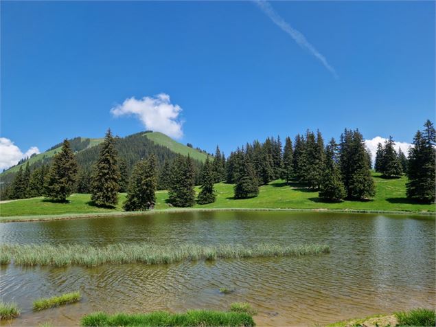 Lac de Conche