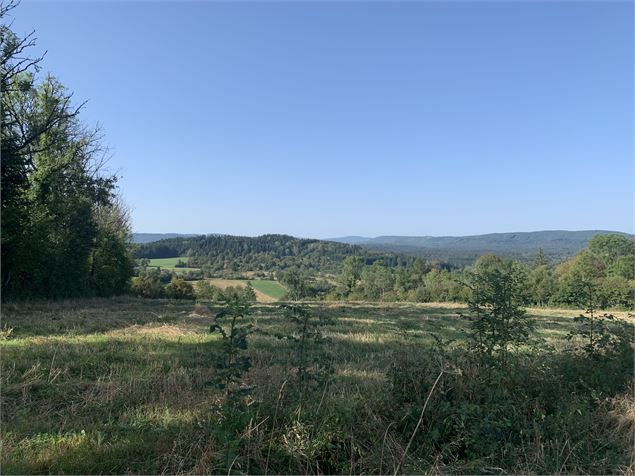 La borne des Trois cantons-Montflacon - Maxime Michel