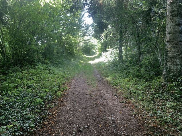 La Forêt du Baron - Maxime Michel