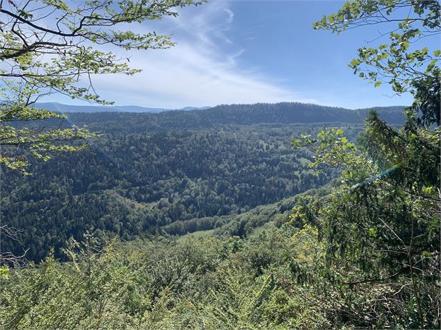 Vue du belvédère du Haut Crêt - Maxime Michel