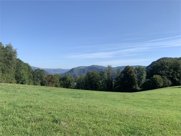 Point de vue sur la vallée de l'Ain et du Jura - Maxime Michel