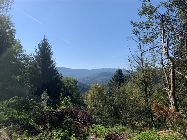 Vue depuis les hauteurs d'Echallon - Maxime Michel