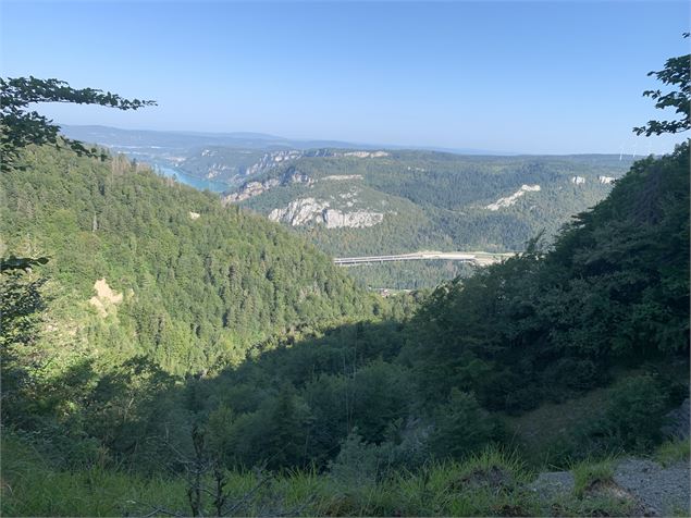 Le sentier de Colliard - Maxime Michel