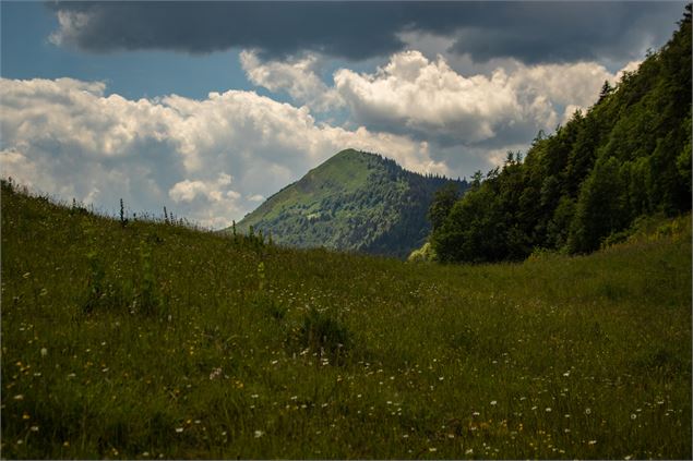 Crêt de Chalam - ©NicodèmePeillon