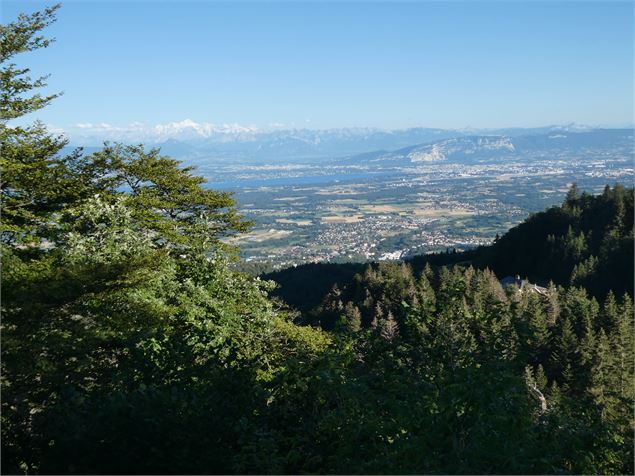 Vue Mont blanc - ©OTpaysdegex