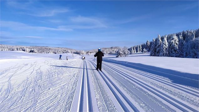 Skieur de fond - ©OTpaysdegex