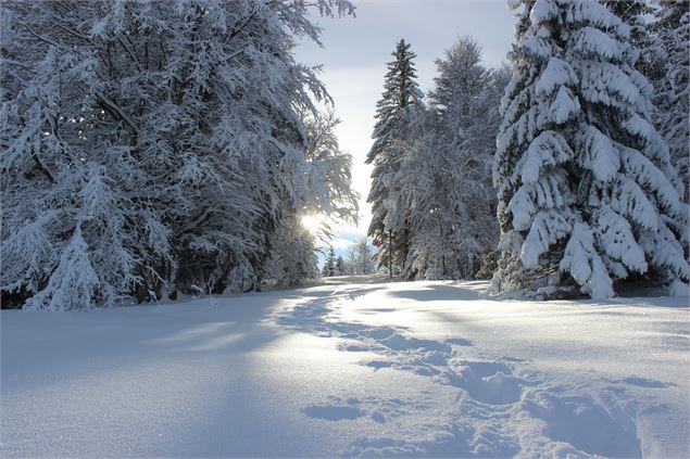 Sentier raquette - ©jthevenard