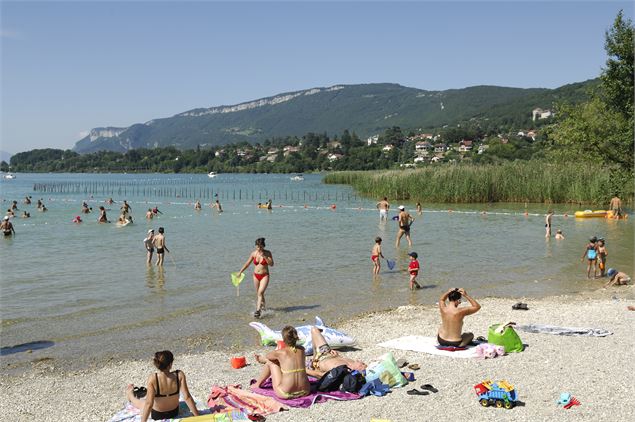 plagememardaixlesbainsbaignade - OT Aix-les-Bains Gilles Lansard