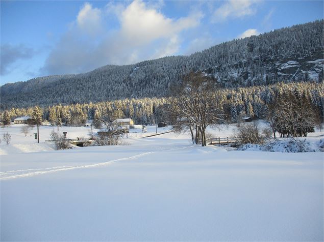 La vallée de la Valserine - ©AMbarbe