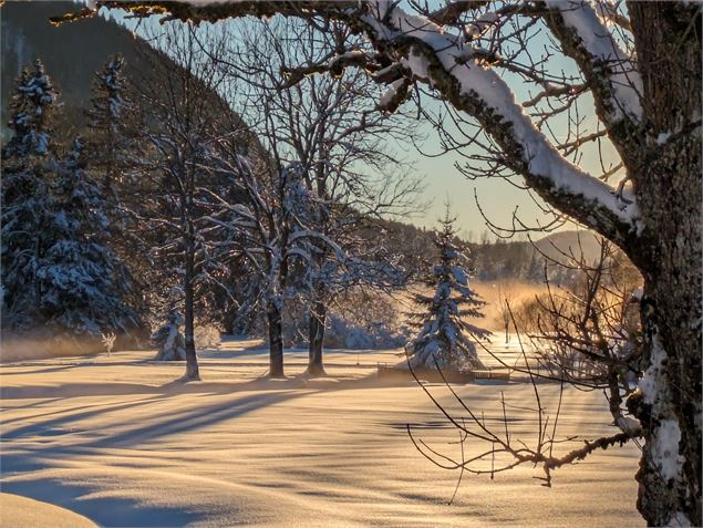 Piste de ski - ©Chantalbenoitgonin