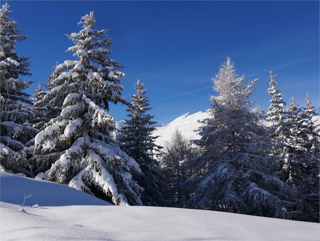 itinéraire de randonnée raquette Valloire - La forêt - Xavier Aury / Valloire Tourisme