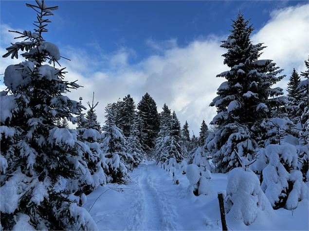 Sentier raquettes : la boucle des Combes_Sallanches - Océane Casanova