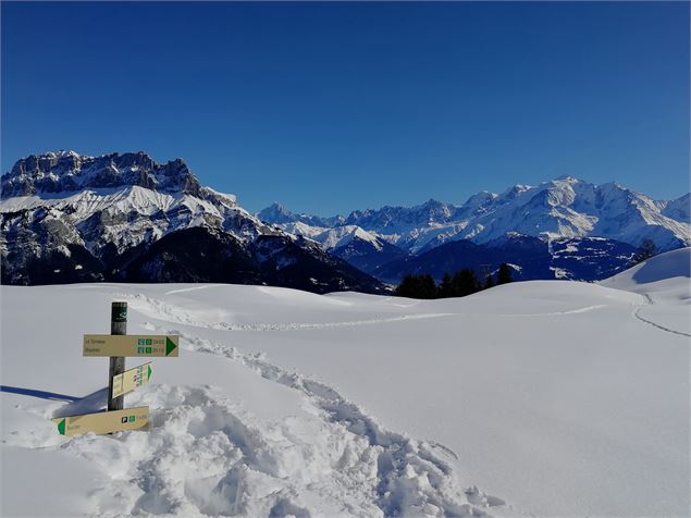 vue sur les Fiz et le Mont-Blanc - Emilie Perrin