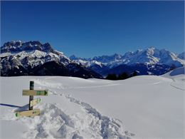 vue sur les Fiz et le Mont-Blanc - Emilie Perrin