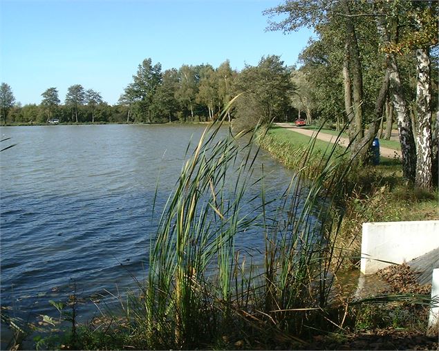 Etang Grand Chaux - Communauté de Communes de la Dombes