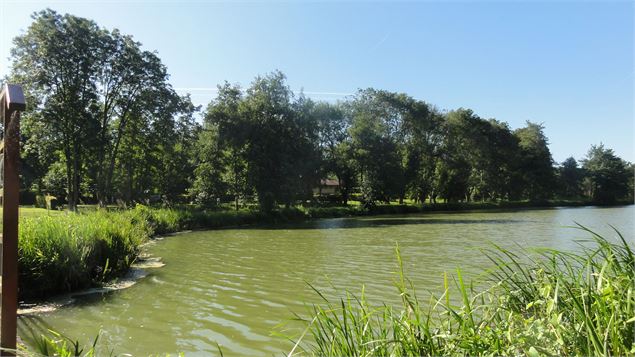 Le bocage de Cormoz - Etang de Mépillat - Sébastien Calland