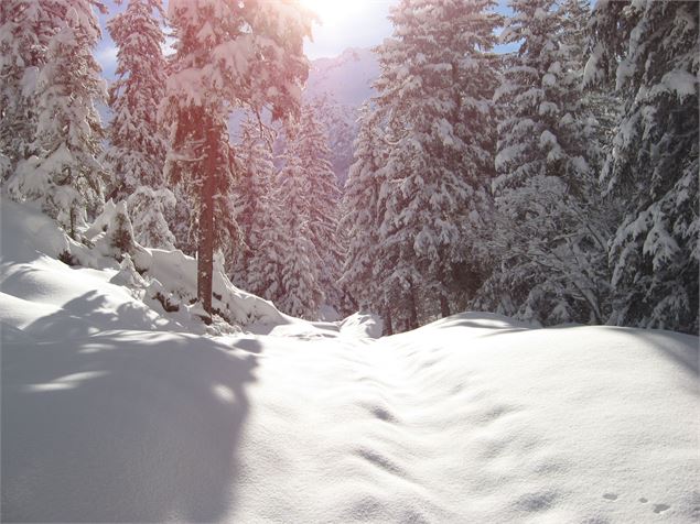 Boucle des cerfs : raquette Les Houches