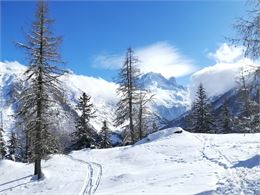 Boucle des Granges : raquette Vallorcine