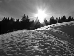 Morillon Les Esserts : Plateau de la Charniaz