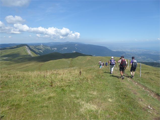 Les crête de la Haute Chaîne du Jura - AMbarbe