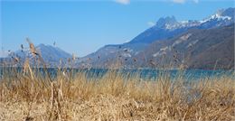 Bout du Lac d'Annecy : la réserve naturelle