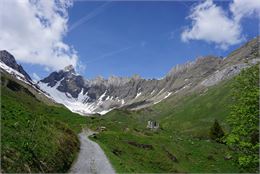 Chalets de Doran : les ailes du gypaète