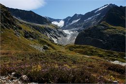 Glacier de Tré la Tête