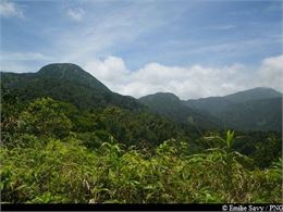 au sommet des Trois Crêtes - Emilie Savy / PNG